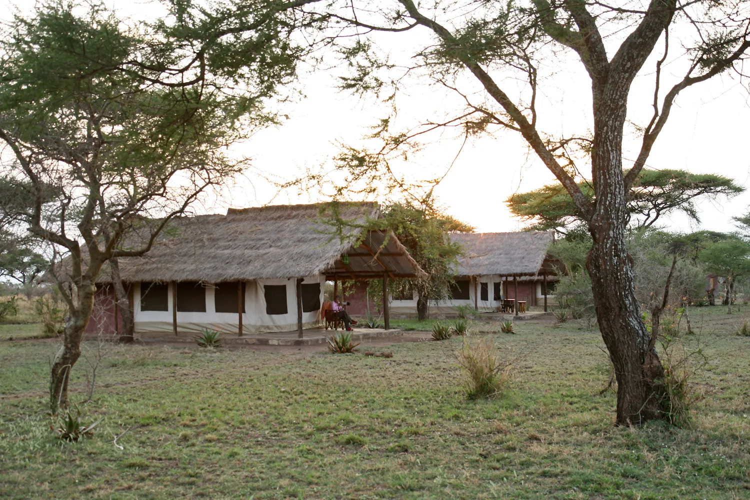 Serengeti : lodges fixes ou camps mobiles
