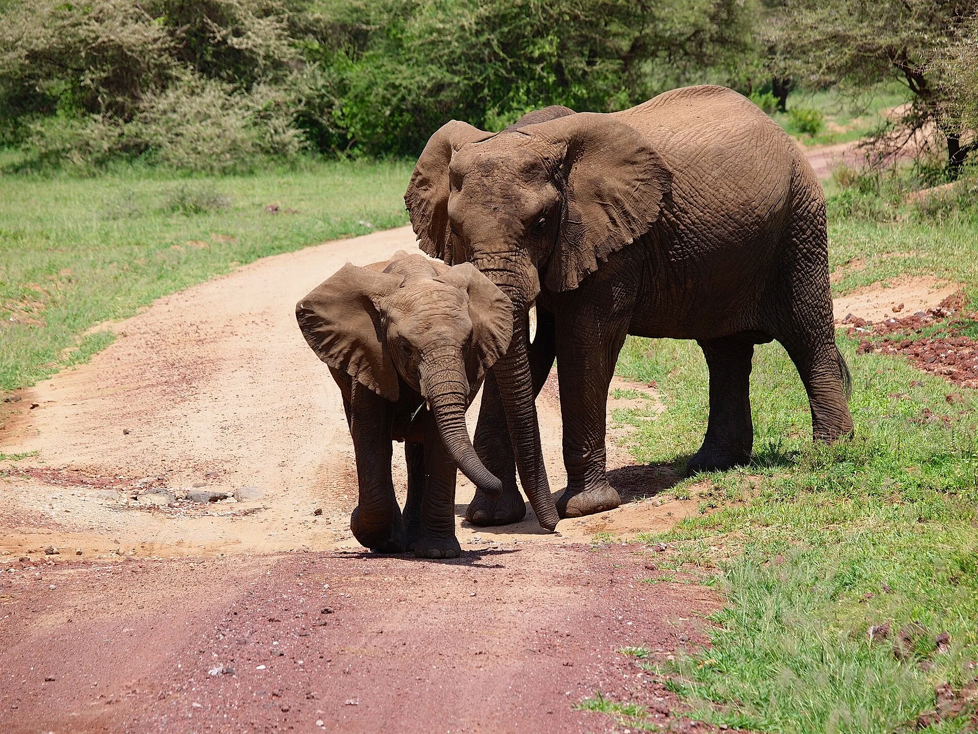 Jour 2 : lac Manyara et route vers Karatu