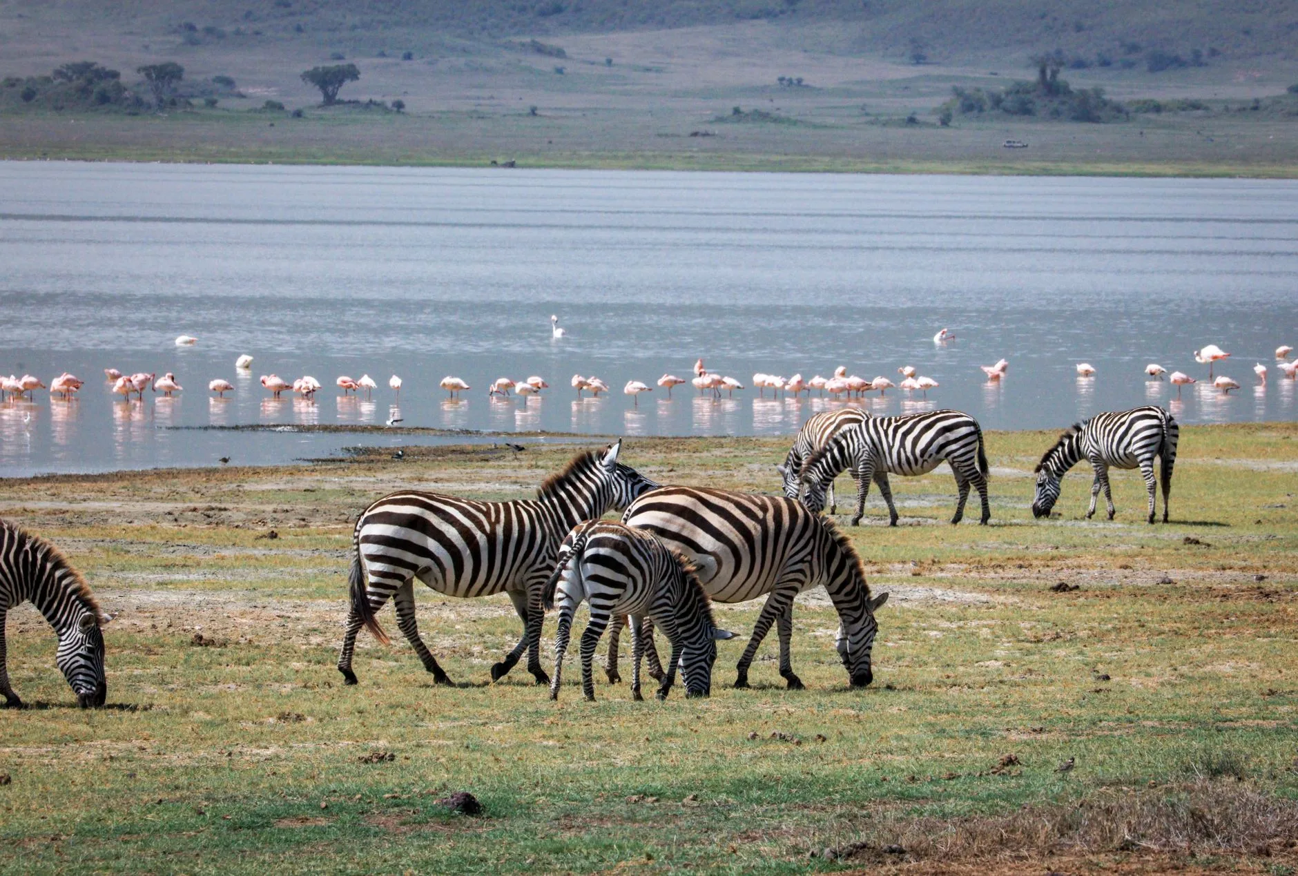 Jour 3 : lac Manyara et route vers Karatu