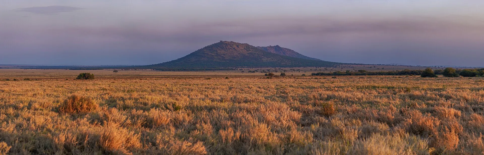 Le parc national du Serengeti en bref